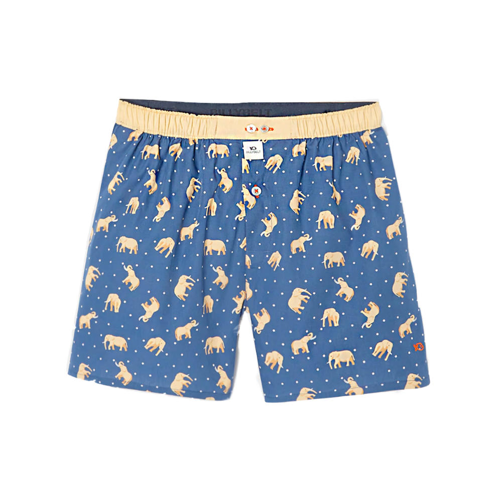 BillyBelt - Organic cotton boxer shorts - Elephant Dream - Size 2XL